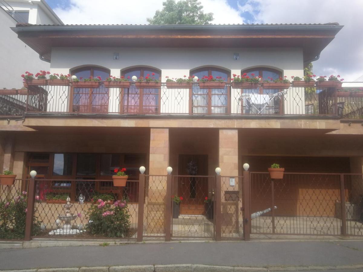 Apartment Barrandovska *